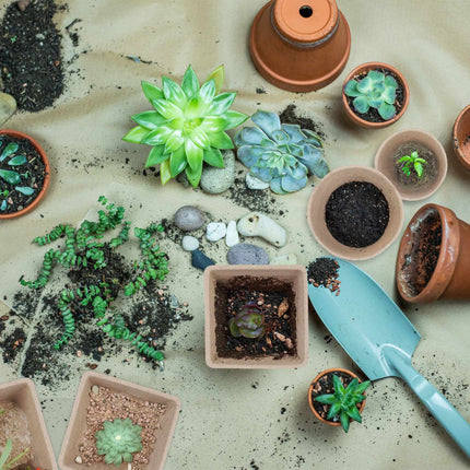 Ghiveci de cultivare, set de 96 cu accesorii