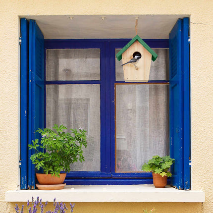 Acoperiș verde deco pentru păsări