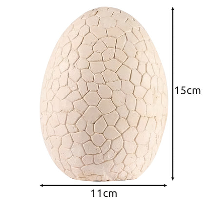 Dinosaur Egg - Excavation Site 24981