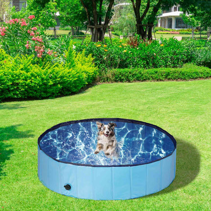 Piscină pentru câini 120x30 cm
