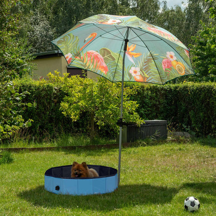 Piscină pentru câini 80x20 cm