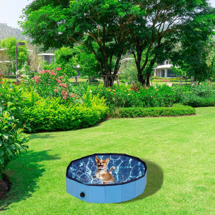 Piscină pentru câini 80x20 cm