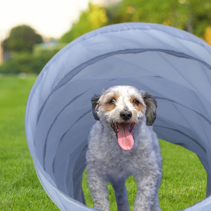 Agilitate tunel pentru câini 3m