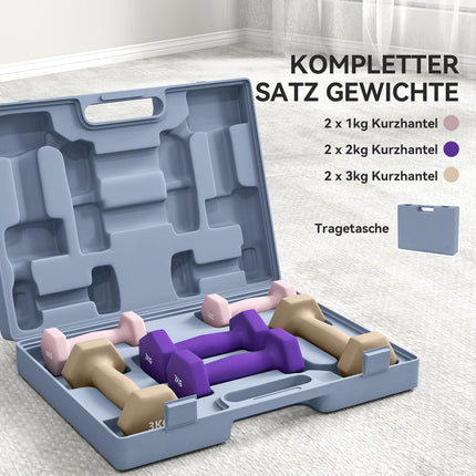 Set de gantere, greutăți din oțel din 6 piese cu carcasă, 1kg-3kg