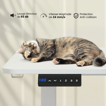 Birou electric de lucru în picioare 140 x 60 cm, reglabil pe înălțime, alb
