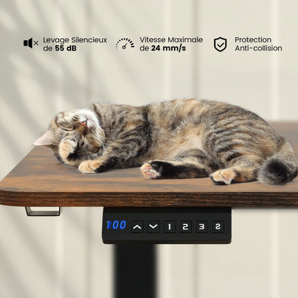 Birou electric de stat în picioare 140 x 60 cm, presetări cu memorie