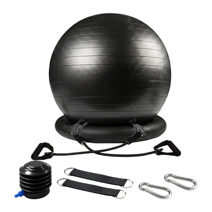 Exercise Ball 65 cm with Stand, Resistance Bands and Pump, Black