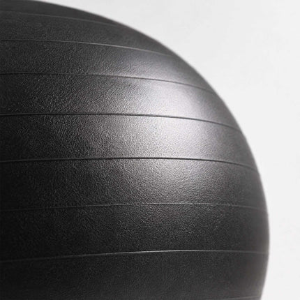 Exercise Ball 65 cm with Stand, Resistance Bands and Pump, Black