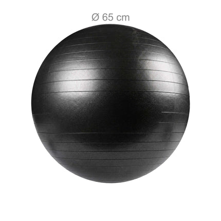 Exercise Ball 65 cm with Stand, Resistance Bands and Pump, Black