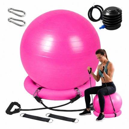 Exercise Ball 65 cm with Stand, Resistance Bands and Pump, Pink