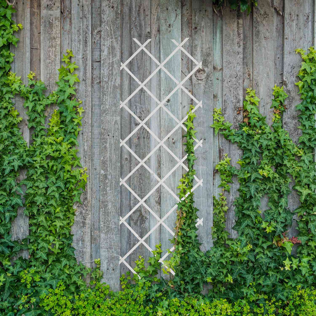 Set spalier extensibil pentru plante, 180x60 cm, pachet de 3