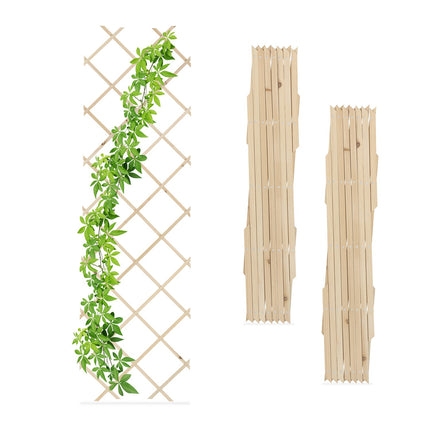 Set spalier extensibil pentru plante, 180x60 cm, pachet de 3