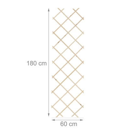 Set spalier extensibil pentru plante, 180x60 cm, pachet de 3