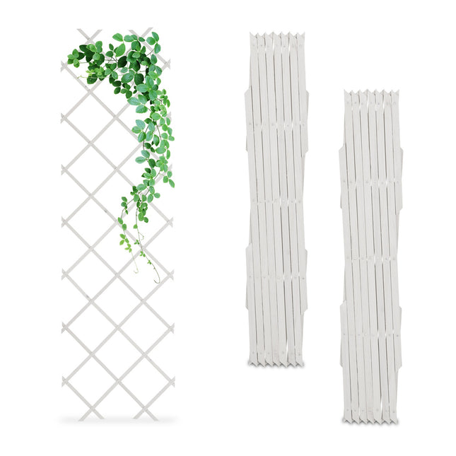 Set spalier extensibil pentru plante, 180x60 cm, pachet de 3