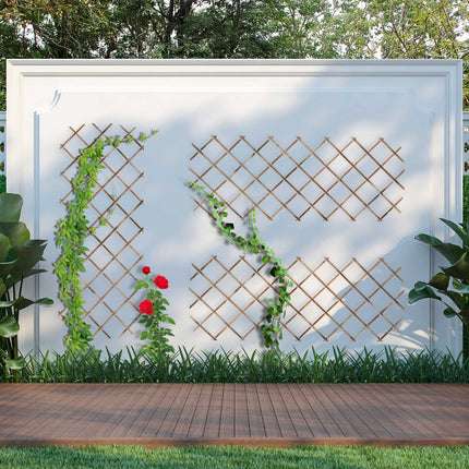 Set spalier extensibil pentru plante, 180x90 cm, pachet 3