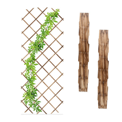 Set spalier extensibil pentru plante, 180x90 cm, pachet 3