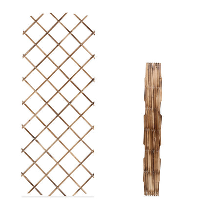 Set spalier extensibil pentru plante, 180x90 cm, pachet 3