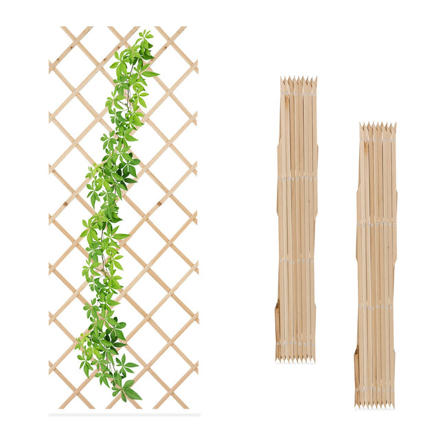 Set spalier extensibil pentru plante, 180x90 cm, montat pe perete