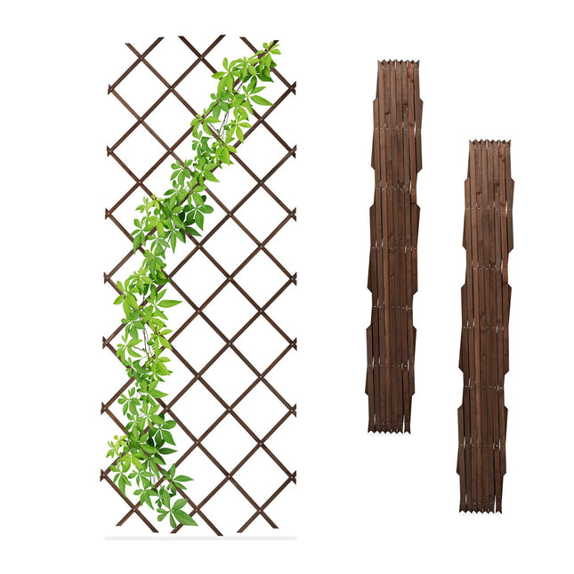 Extendable Wooden Plant Trellises Set, 180x90 cm