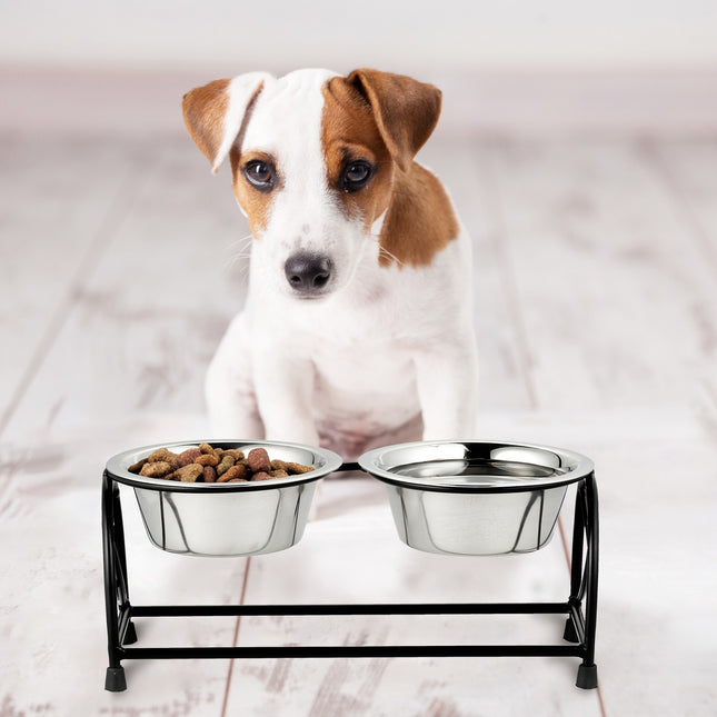 Feeding station for dogs