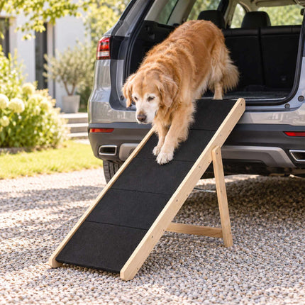 Foldable Dog Stairs and Ramp 2-in-1 with 3 Steps, Up to 50 kg, Pine Wood