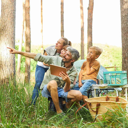 Scaune pliabile de camping, reglabile, set de 2