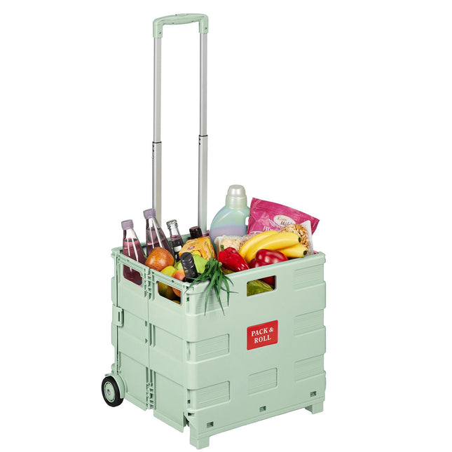 Cărucior de cumpărături pliabil cu mâner telescopic, capacitate 35 kg