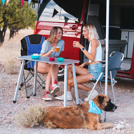Scaun de camping pliabil cu captuseala