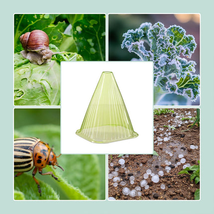 Cloches pentru plante de grădină - Protejează răsadurile de dăunători