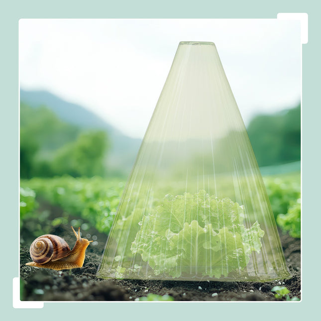 Cloches pentru plante de grădină - Protejează răsadurile de dăunători