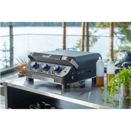 Gas grill Plate 3