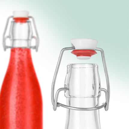 Glass Clip Top Bottles, 6 Pack – Airtight Seal, Labels