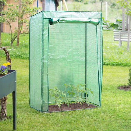 Cultivarea tomatelor de seră