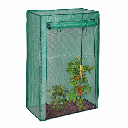 Cultivarea tomatelor de seră