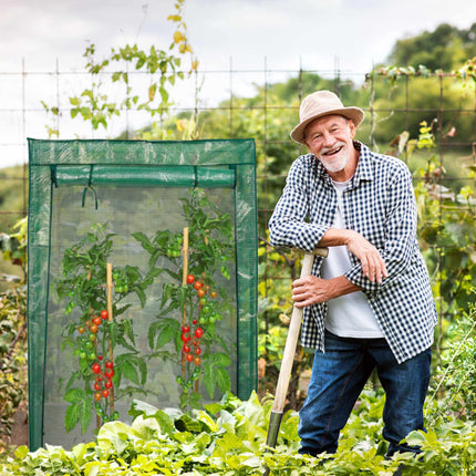 Cultivarea tomatelor de seră