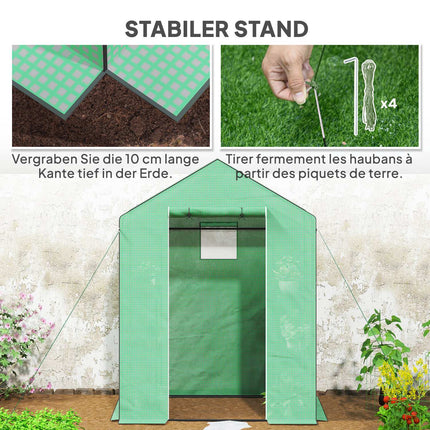 Greenhouse with shelves and roller door for tomatoes