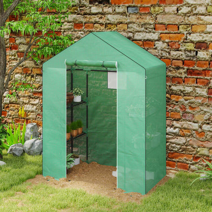 Greenhouse with shelves and roller door for tomatoes