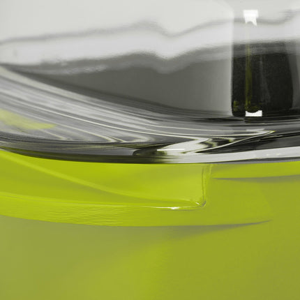 Green roaster with glass lid