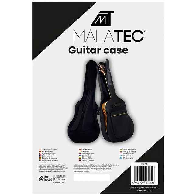 Guitar case