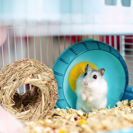 Set Accesorii Hamster 5 buc.