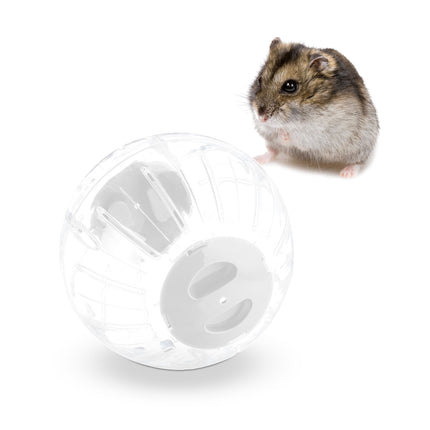 Hamster ball with white lid