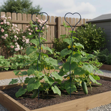Set de spalier de grădină în formă de inimă pentru plante cățărătoare