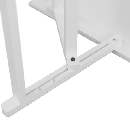 Height adjustable dog ramp