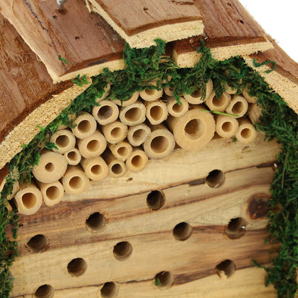 Hotel cu insecte cu mușchi