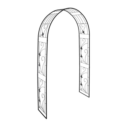 Arc de trandafir de fier