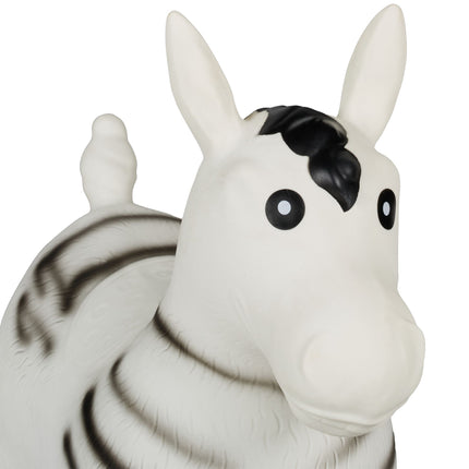 Jumping zebra