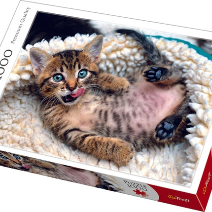 Kittens Puzzle de 1000 de piese pentru o activitate distractivă în familie