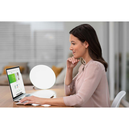 Light therapy Daylight lamp LT 500