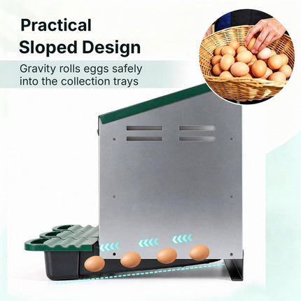 Metal Chicken Nesting Box with 3 Compartments and Egg Trays, Green, Roll Away