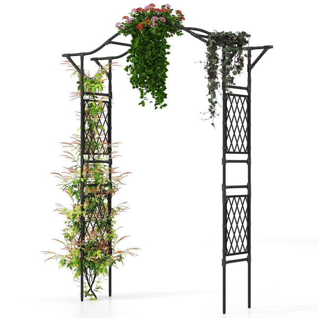 Arc metalic de gradina pentru plante cataratoare, 170x39x210 cm, negru